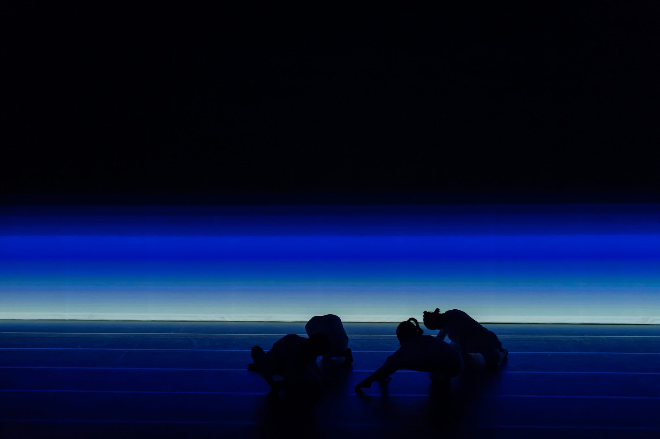 動態 – sensorial - 3