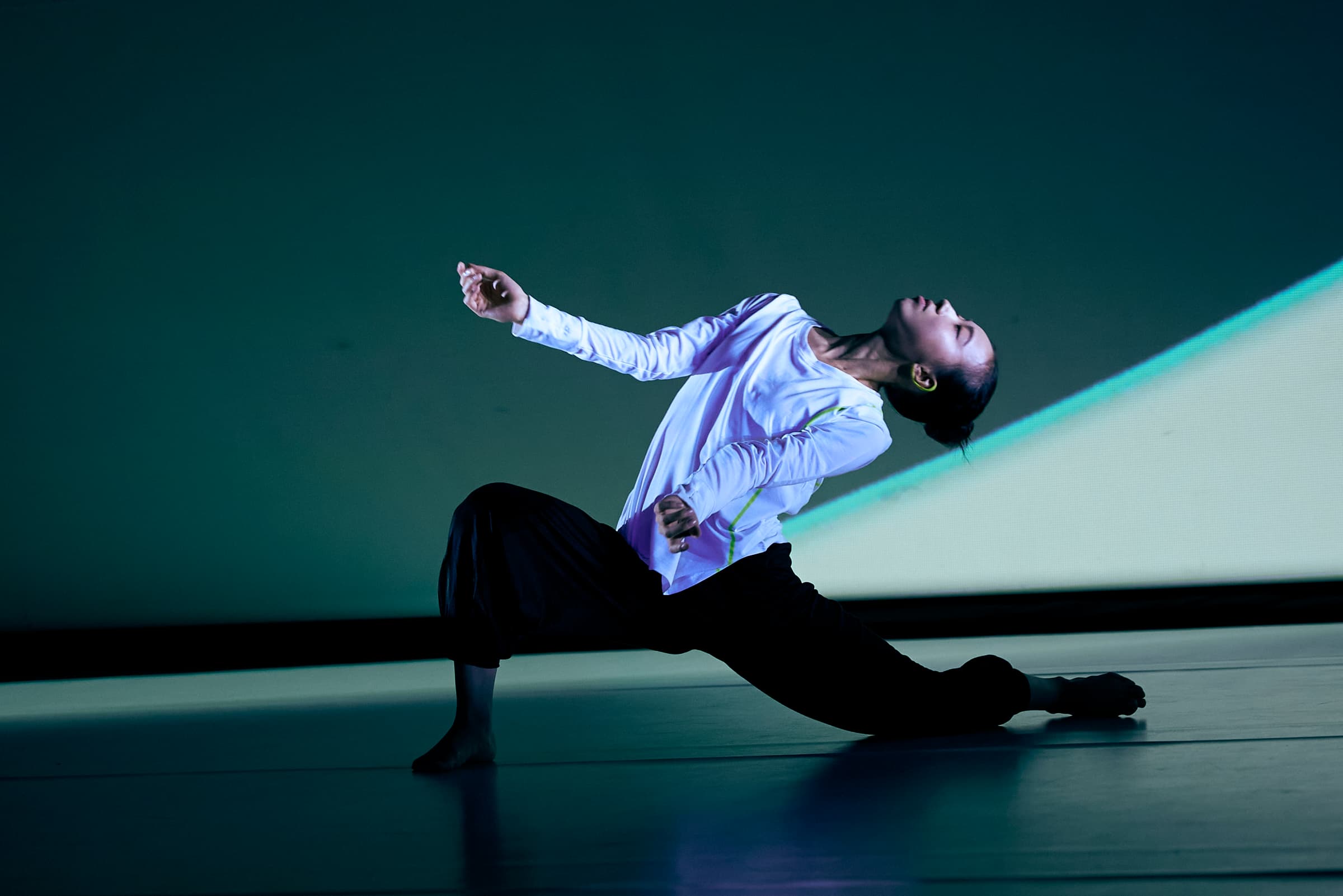 Somatic Field Project【Moving State 1】 - 2